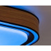 Rabalux 71146 ARILD stropné svietidlo LED 48W